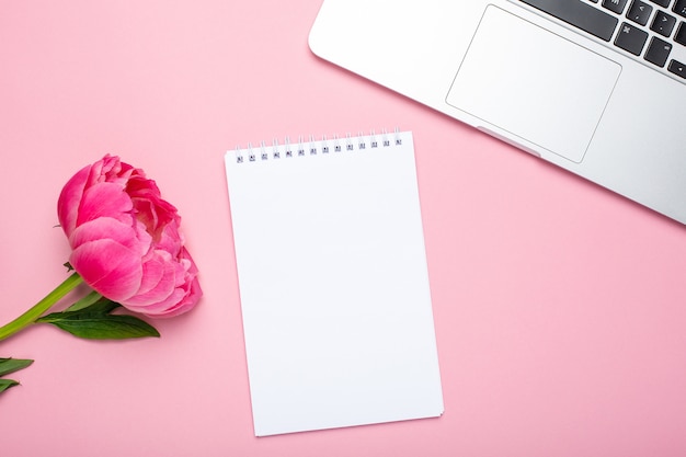 peony flower, laptop and notebook.