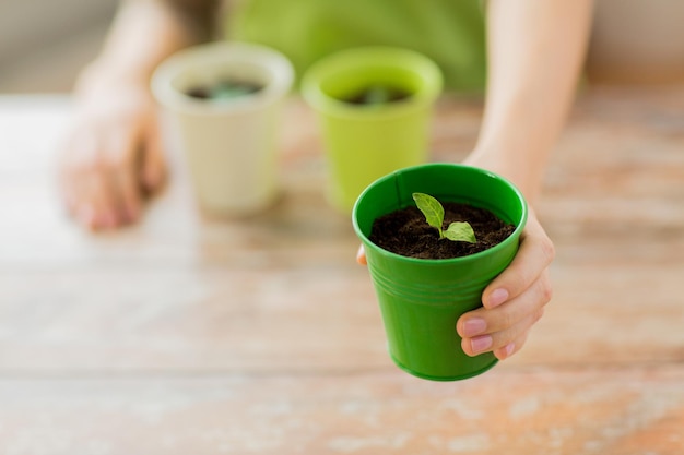 people, gardening, organic, planting and profession concept - close up of woman hand holding pot with sprout