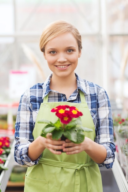 people, gardening and profession concept - happy woman or gardener holding flowers in greenhouse