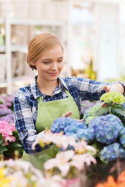 people, gardening and profession concept - happy woman or gardener taking care of flowers in greenhouse