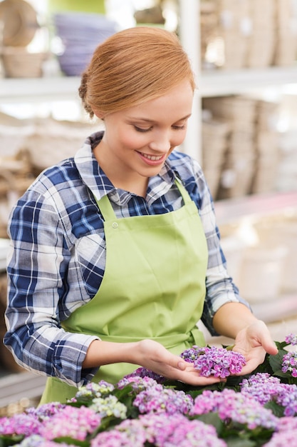 people, gardening and profession concept - happy woman or gardener taking care of flowers in greenhouse