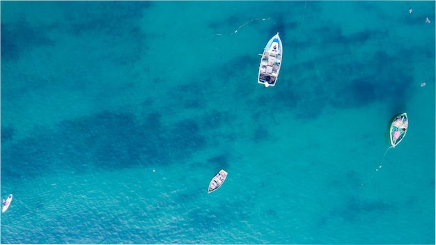 People practicing paddleboarding on the sea