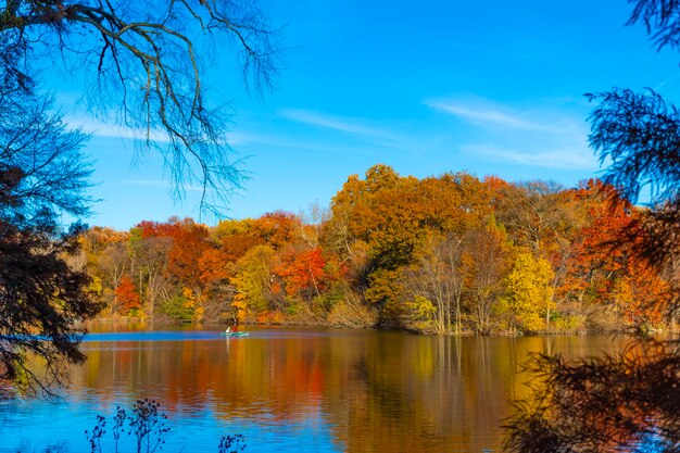 Photo people rowing a boat in central park pond central park in autumn with colorful fall trees autumn nature new york city central park with boat in lake autumn landscape nature peaceful rowing