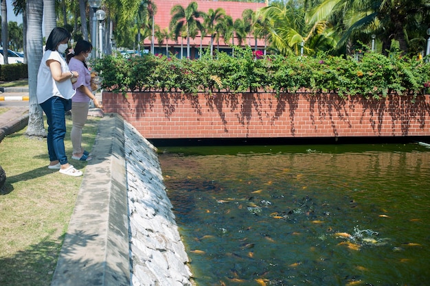 People stand and Feed the fish with food in hand focus selective