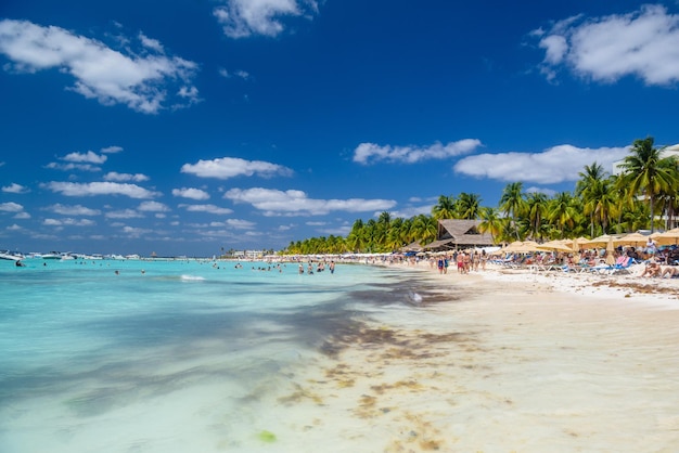 People swimming near white sand beach with umbrellas bungalow bar and cocos palms turquoise caribbean sea Isla Mujeres island Caribbean Sea Cancun Yucatan Mexico