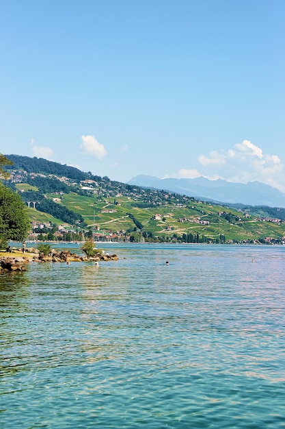 People swimming and sunbathing at Lake front in Lake Geneva in Lausanne, Switzerland.