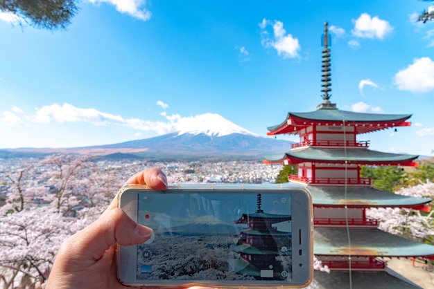 People taking pictures on Mount Fuji in full bloom cherry blossoms springtime sunny day