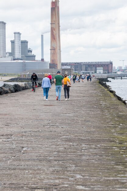 Photo people walk on hte great south walk at pollbeg lighthouse.