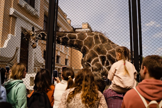 People watching a giraffe in the zoo view from the back