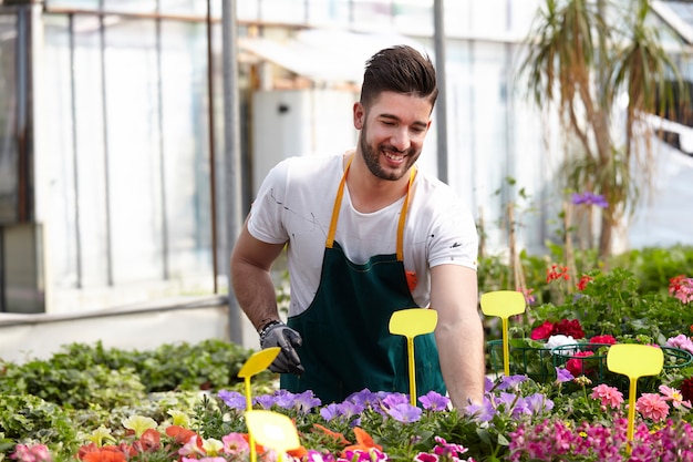 People working in a garden store