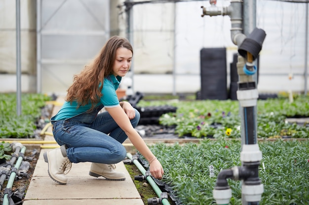 Photo people working in a garden store