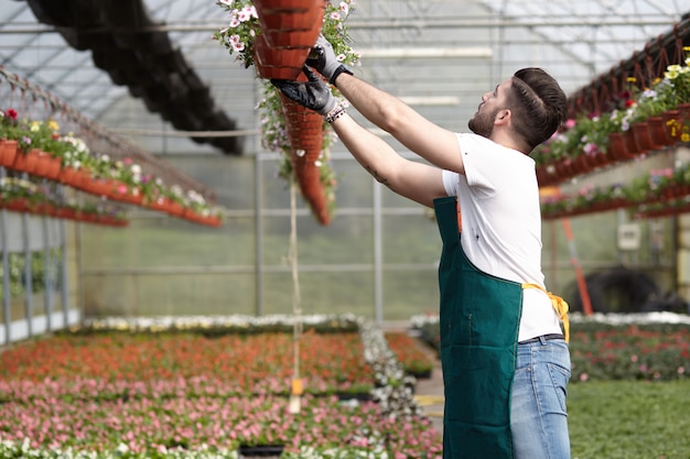 People working in a garden store