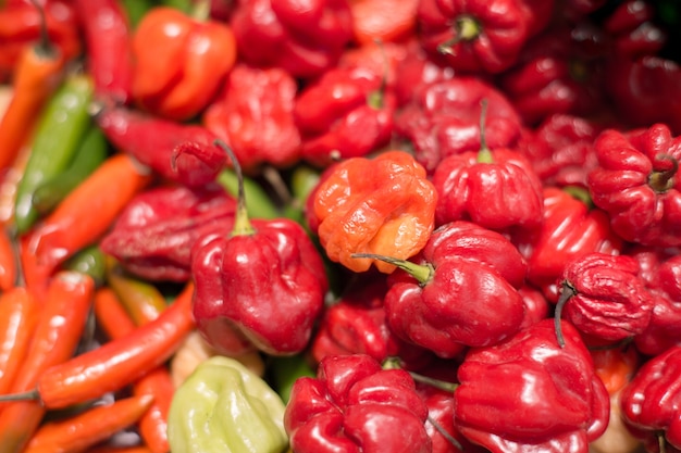 Peppers on a counter in the supermarket. A large number of peppers in a pile