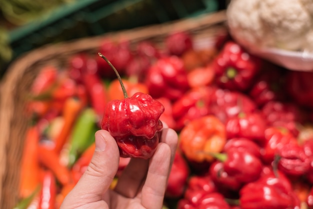 Peppers on a counter in the supermarket. A large number of peppers in a pile