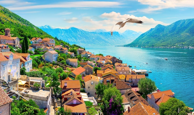 Perast from above