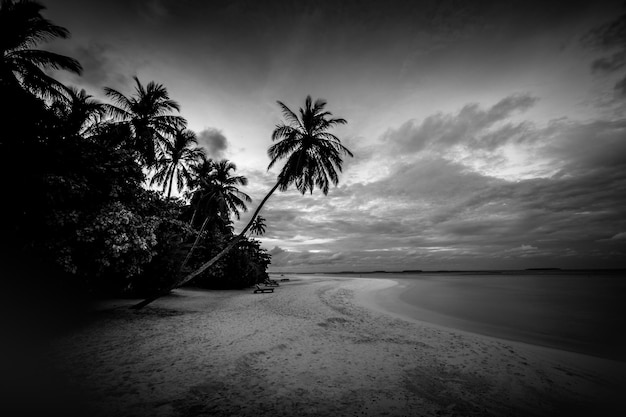 Perfect black and white beach. Dramatic island shore landscape, dark sky, calm water monochrome