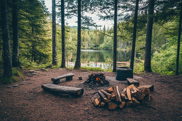 Photo perfect camping spot in a wooded area