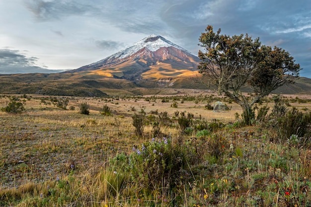 Photo the perfect cone of the north face of cotopaxi at sunset