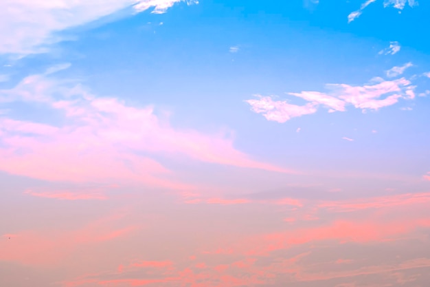 Perfect pink sky Spring Background Sky background and pastel color