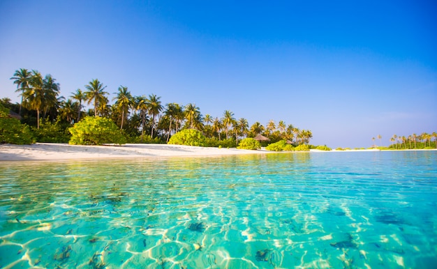 Perfect white beach with turquoise water at ideal island