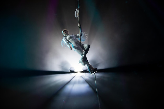 performance of an aerial gymnast in a circus in front of the audience