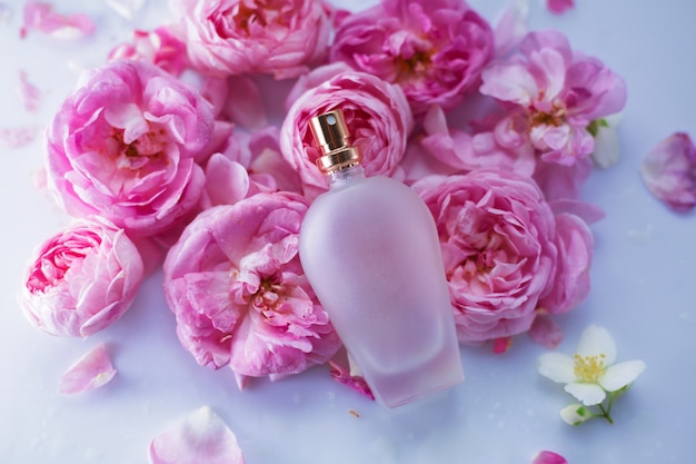 Perfumery, cosmetics, fragrance collection