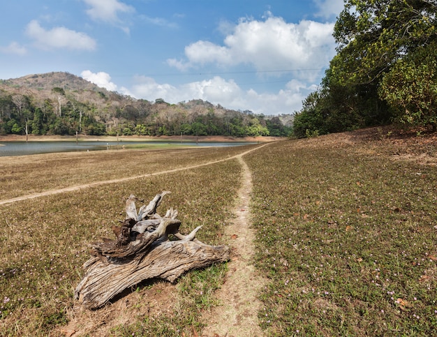 Periyar wildlife sanctuary, India