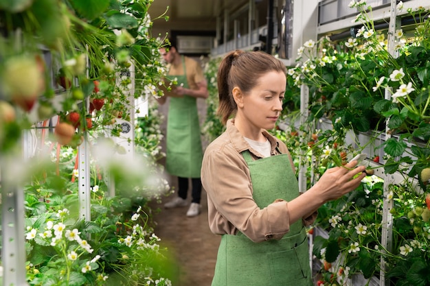 A person in apron working in a garden against young male farmer