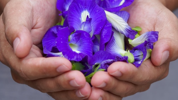 A person holding flowers in their hands.