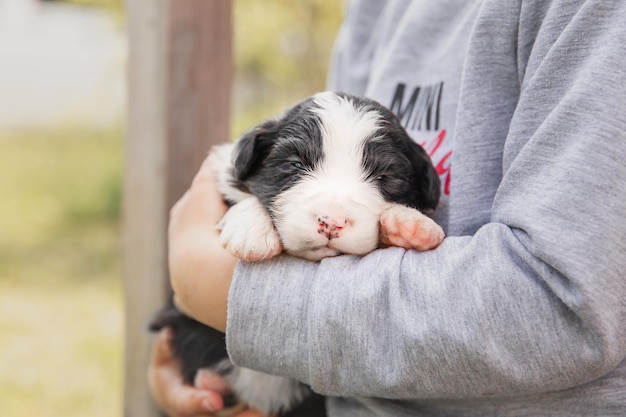 A person holding a puppy that says'i'm a puppy '