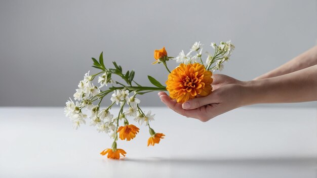 a person holds a bunch of flowers with the words  daisies  on the bottom