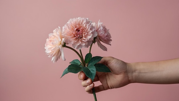 a person holds a flower in their hand