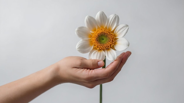 a person holds a flower with the word daisy on it