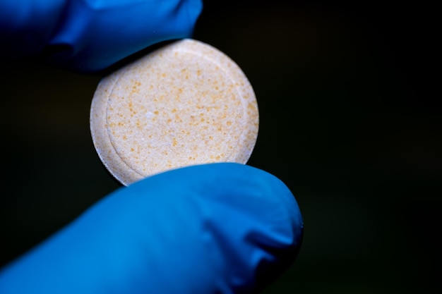 Photo a person is holding a pill with blue gloves on.