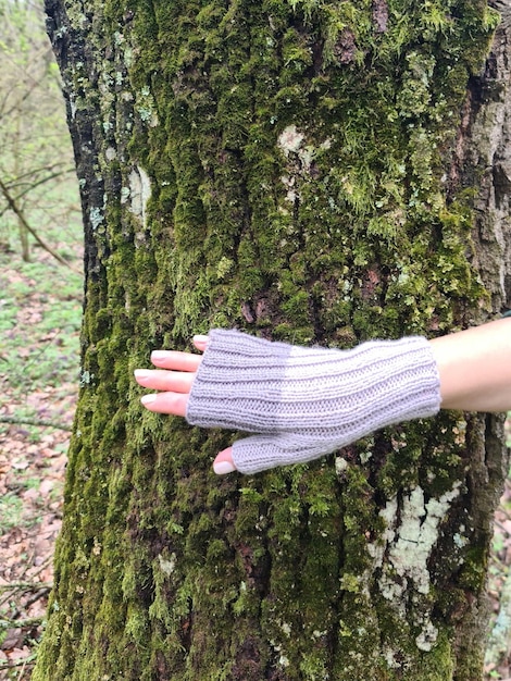 A person is touching a tree with a glove on their hand.