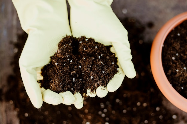 Person planting a flower. Garden hobby concept. Gardener doing his work in nature. Florist woman caring about nature and earth.