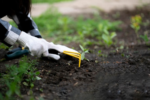 Person planting a new flower plant in the garden outdoors