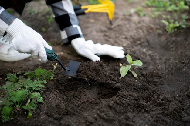 Person planting a new flower plant in the garden outdoors