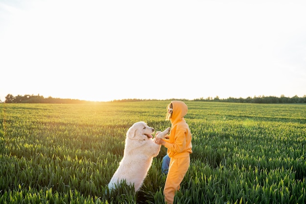 Person plays with dog on green field during sunset