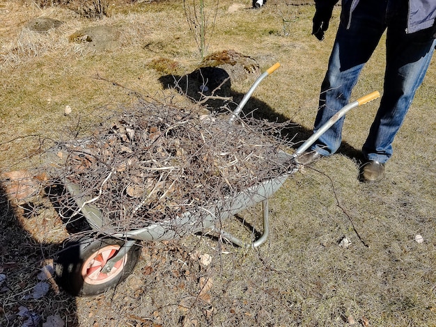 Person raking fallen leaves in the gardenGirl holding a rake and cleaning lawn from dry leaves during spring season work in gardenGarden cleaning Ripening leaves in the springgarden tools