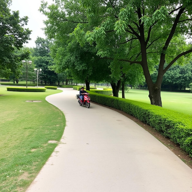 Photo a person riding a motorcycle on a path through a park