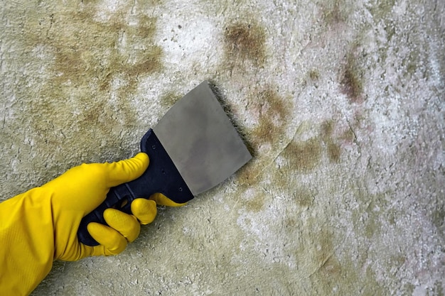 A person in rubber yellow gloves with a spatula cleans a concrete wall from mold and fungus