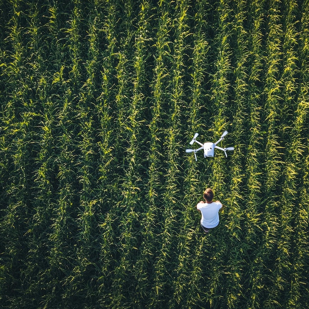 Photo a person standing in a field of green plants looking up at a drone flying overhead