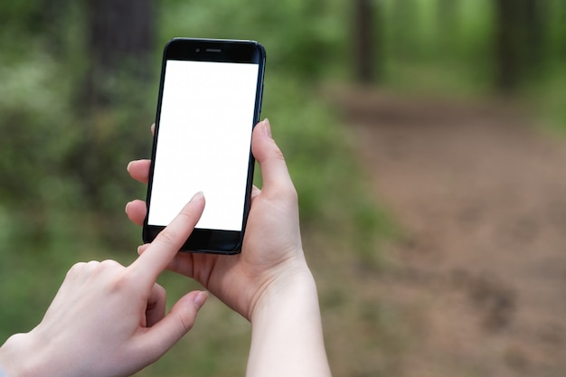 person using smartphone in forest