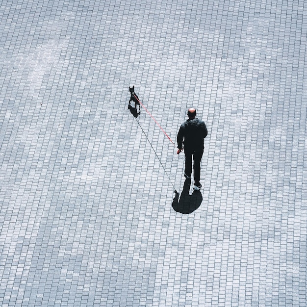 person walking with the dog on the street, Bilbao, Basque country, Spain