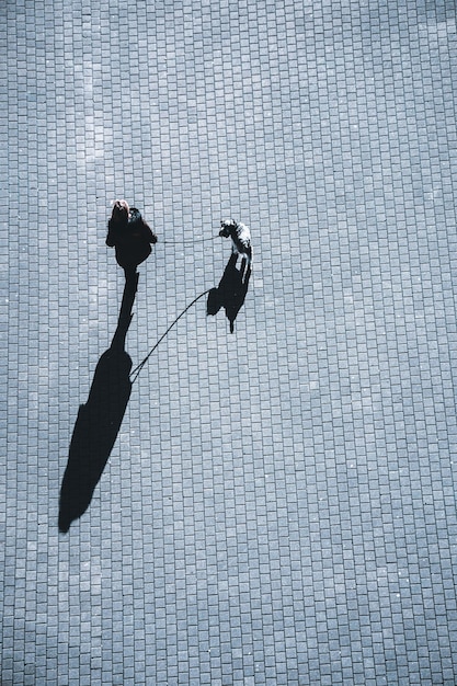 person walking with the dog on the street, Bilbao, Basque country, Spain