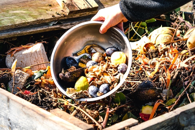 Person who put in a composter some kitchen waste like vegetables fruits eggshell coffee grounds in order to sort and make bio fertilizer