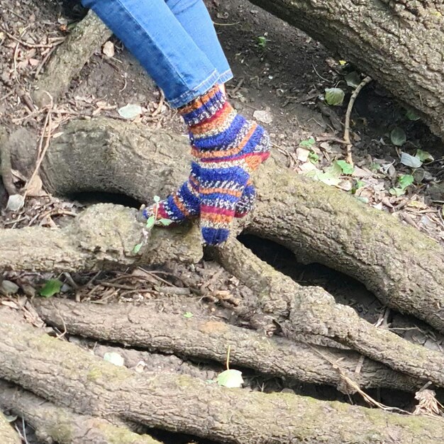 A person039s feet in a knitted glove on a tree branch