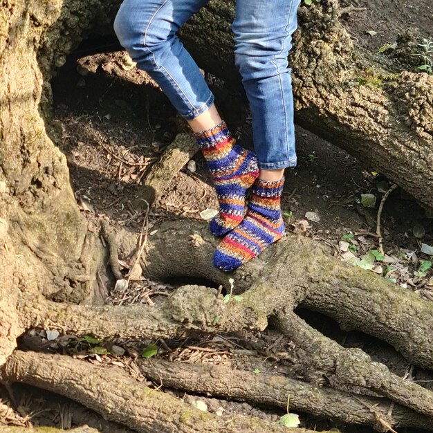 A person039s legs in socks on a tree