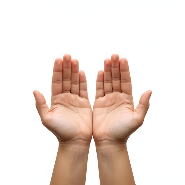 Photo a persons hands open to their hands with a white background